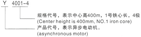 西安泰富西玛Y系列(H355-1000)高压岚山三相异步电机型号说明